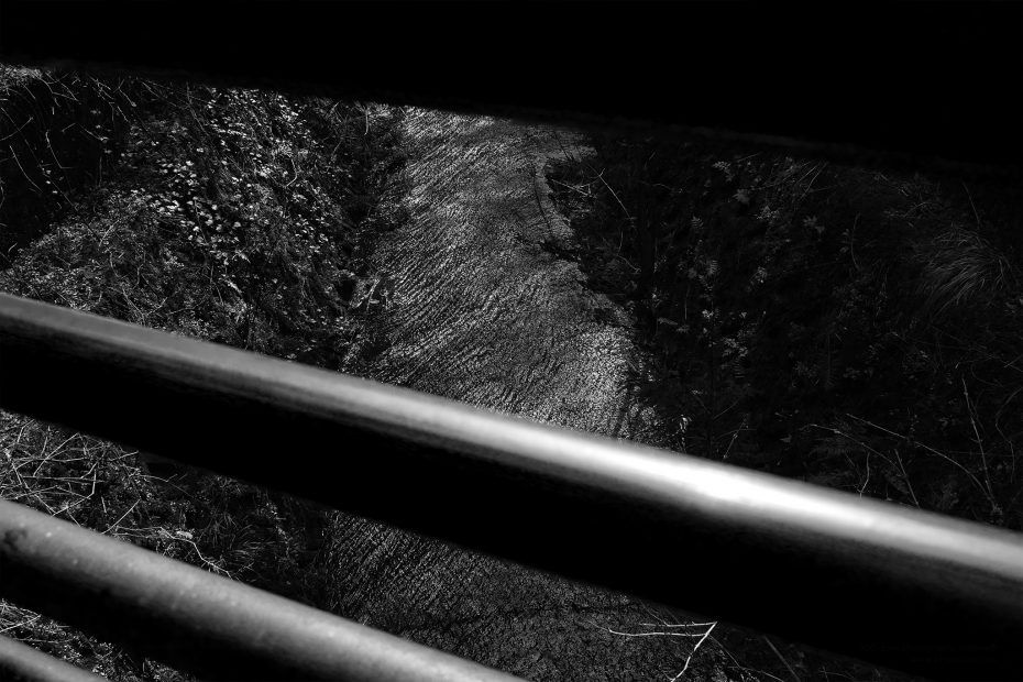 075/366 days photography season 7