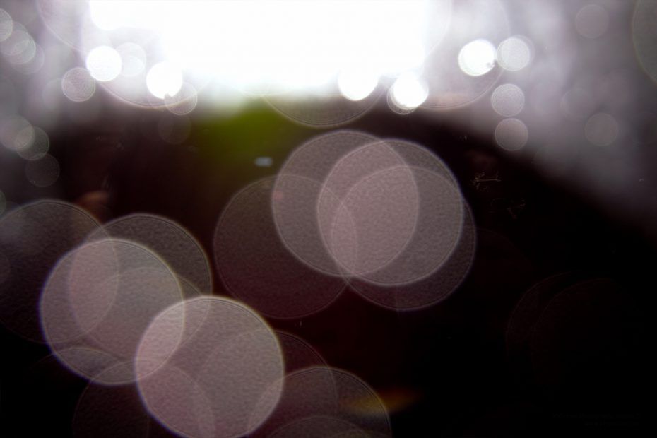 077/366 days photography season 7