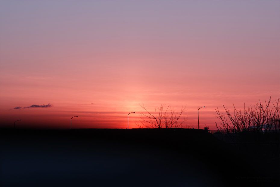 085/366 days photography season 7