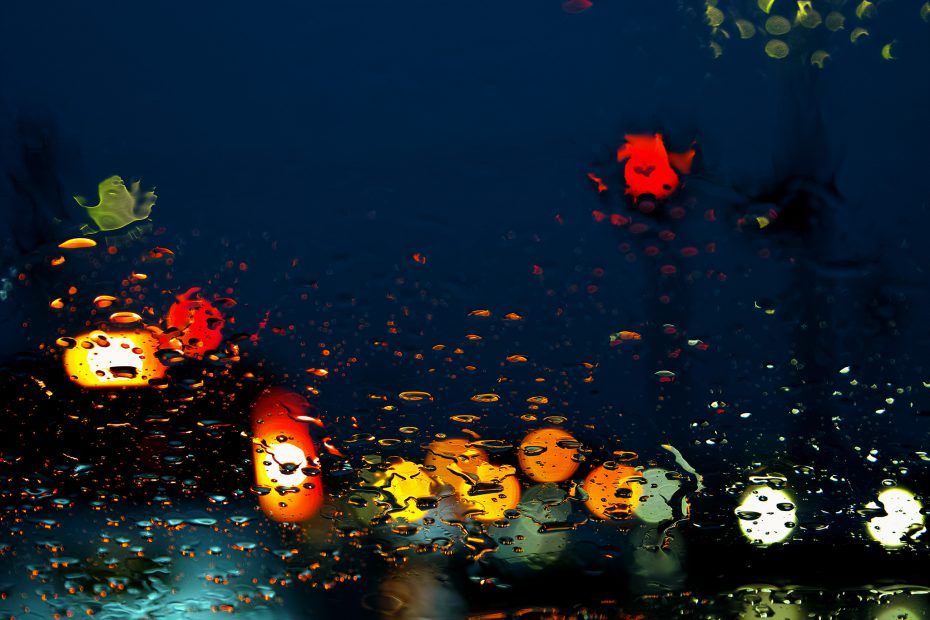 087/366 days photography season 7
