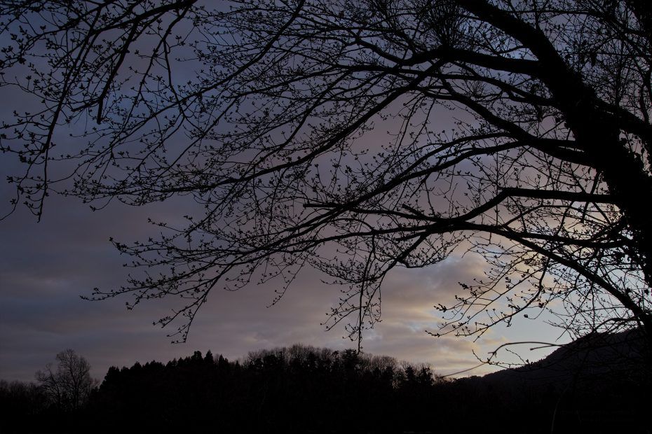 089/366 days photography season 7
