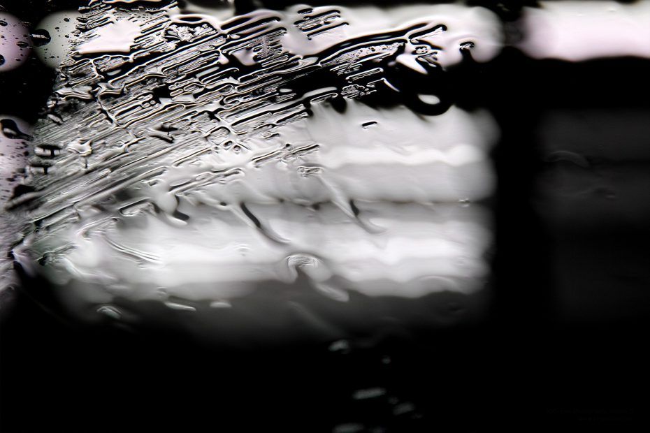 092/366 days photography season 7