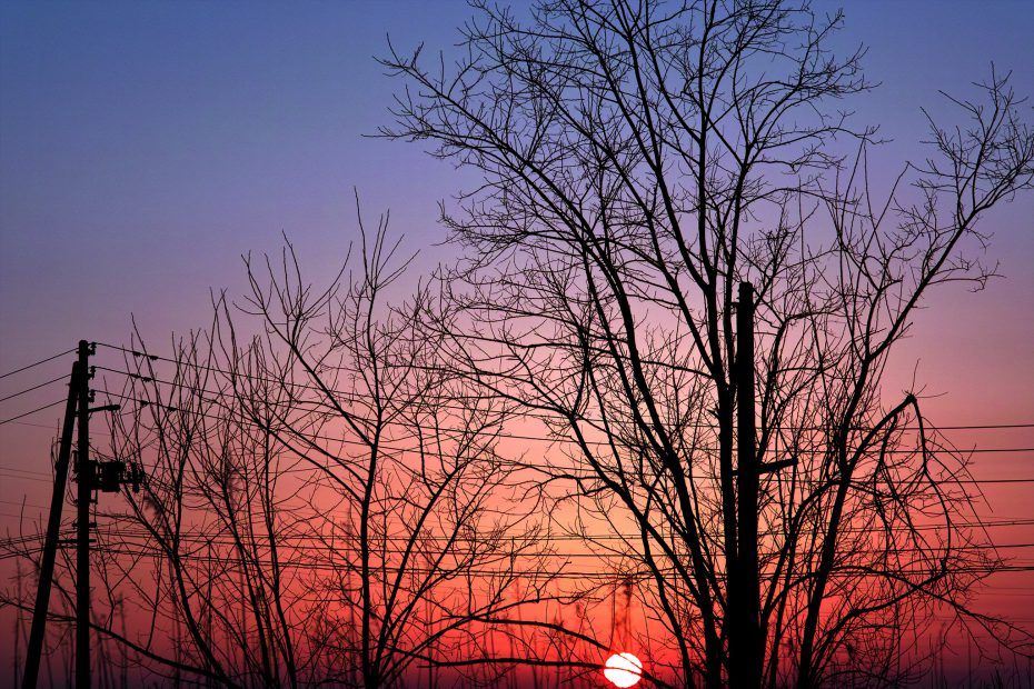 094/366 days photography season 7