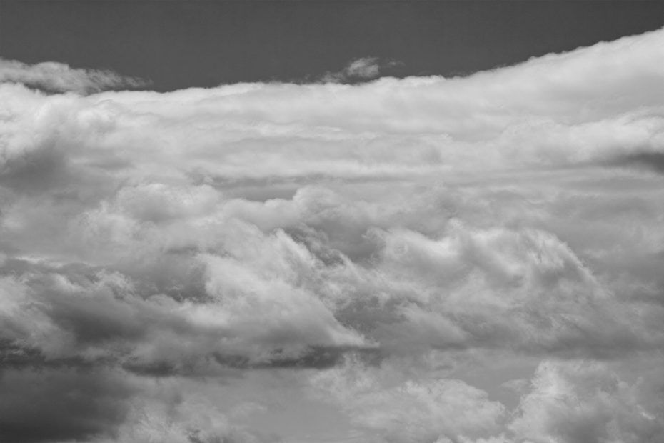 101/366 days photography season 7