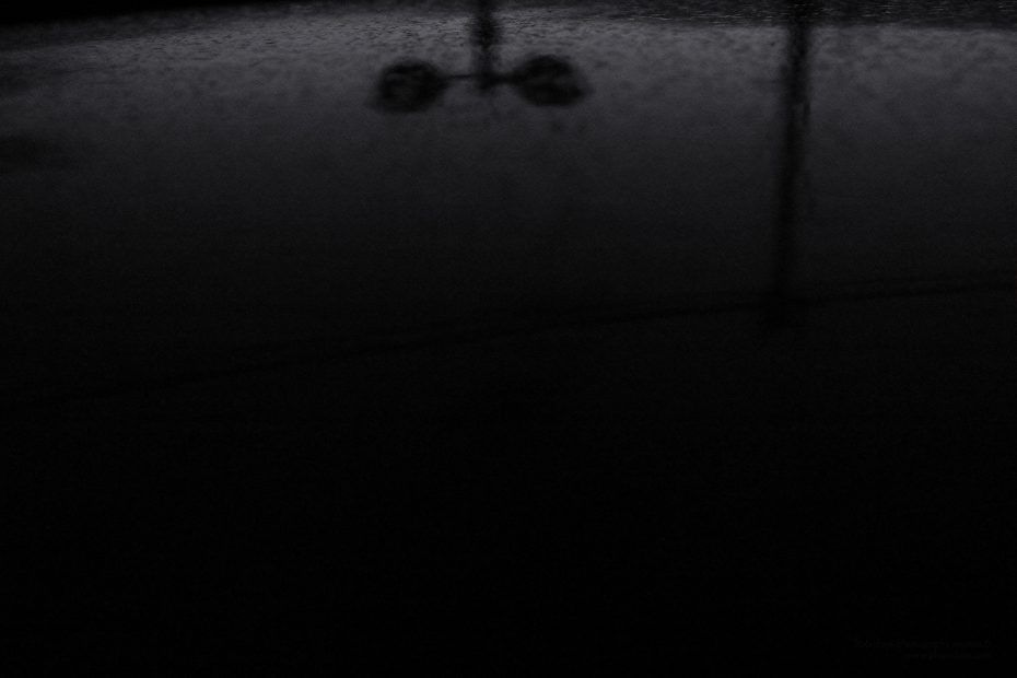 113/366 days photography season 7