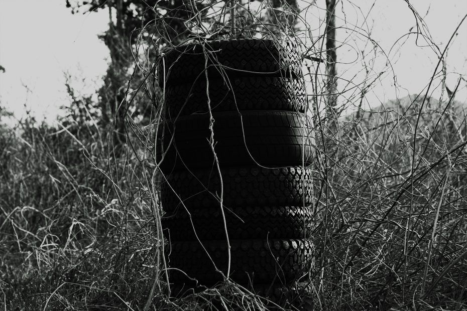 116/366 days photography season 7
