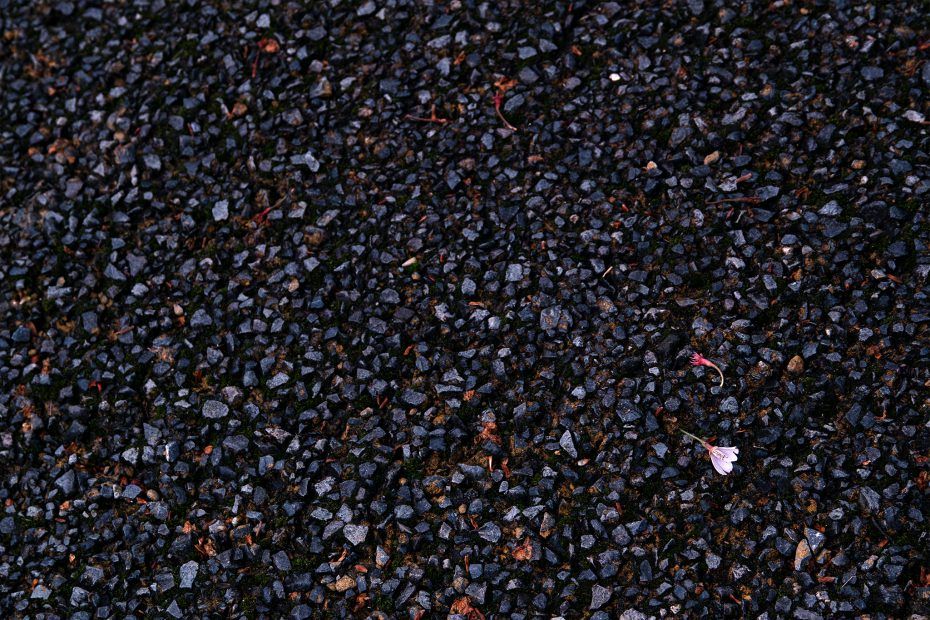 117/366 days photography season 7