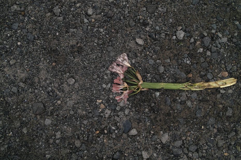 139/366 days photography season 7
