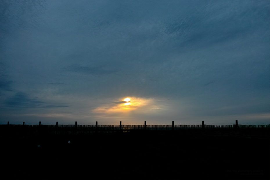 146/366 days photography season 7