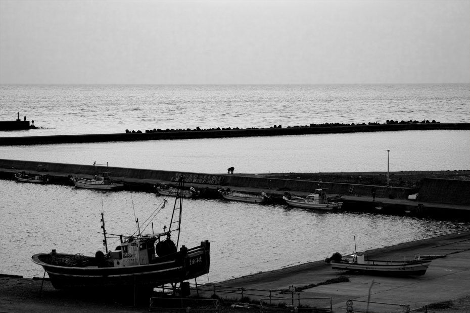122/366 days photography season 7