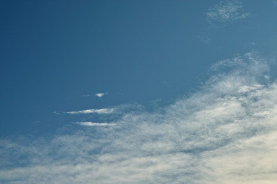 125/366 days photography season 7