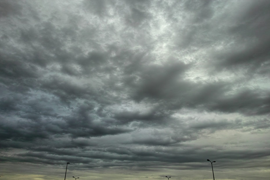 153/366 days photography season 7