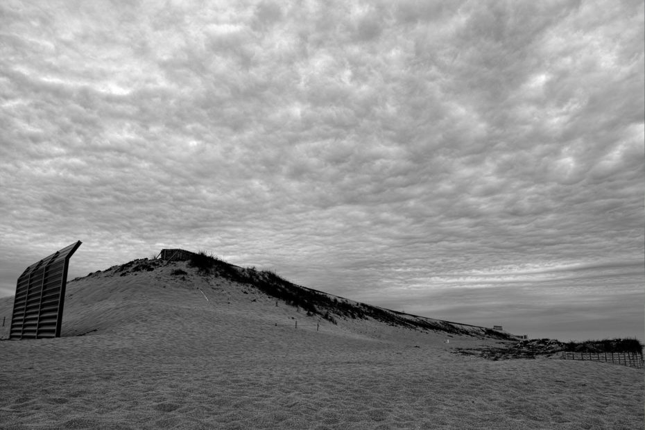 154/366 days photography season 7
