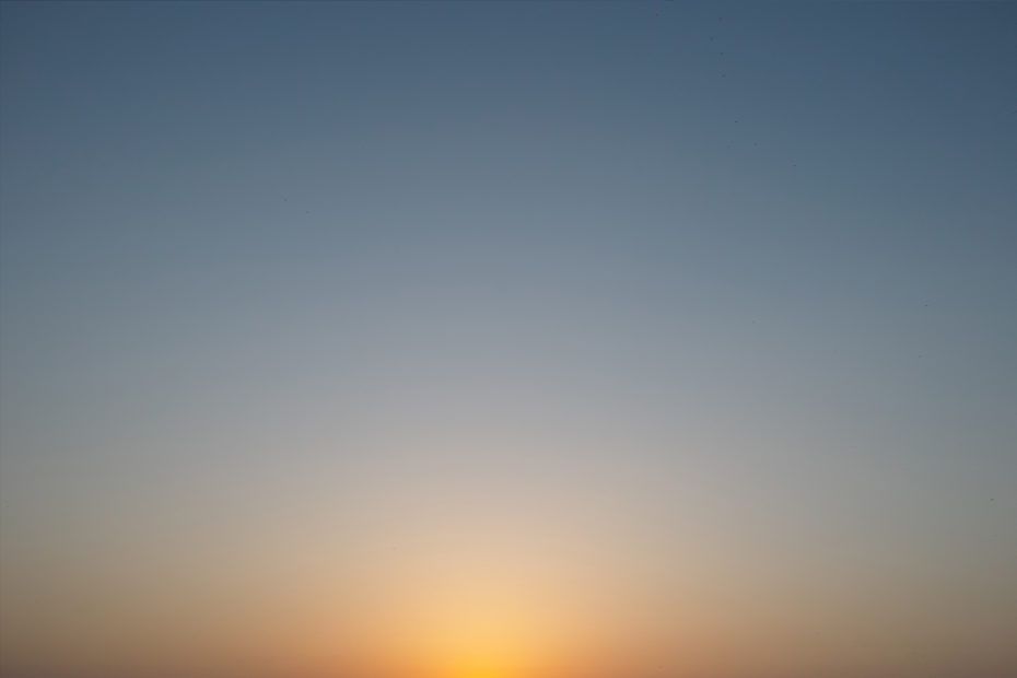 161/366 days photography season 7