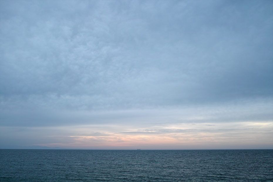 164/366 days photography season 7