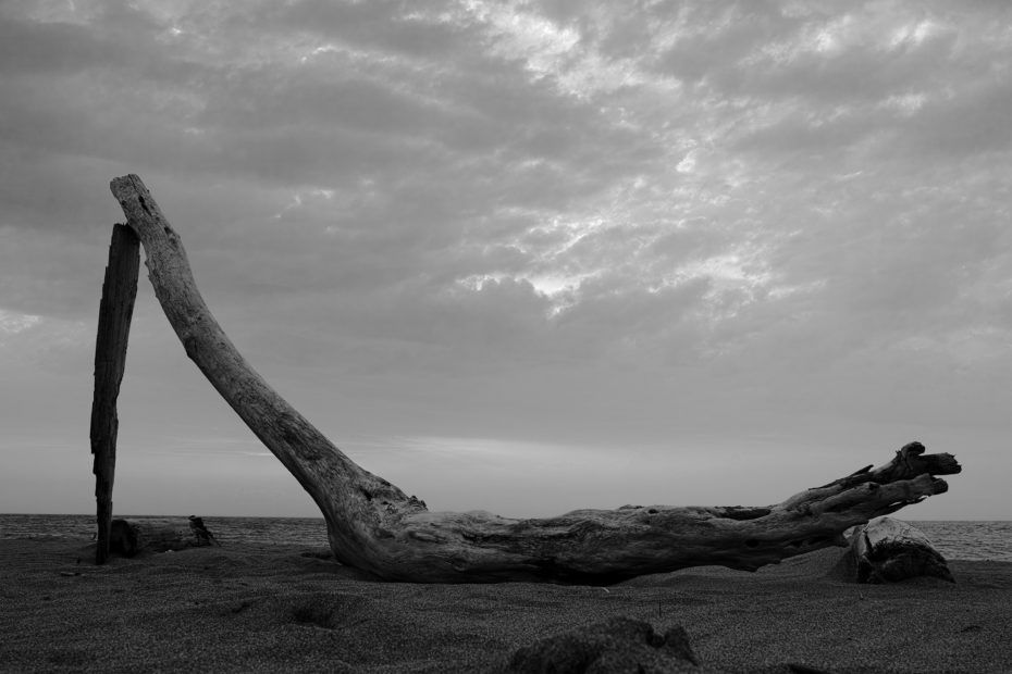 167/366 days photography season 7