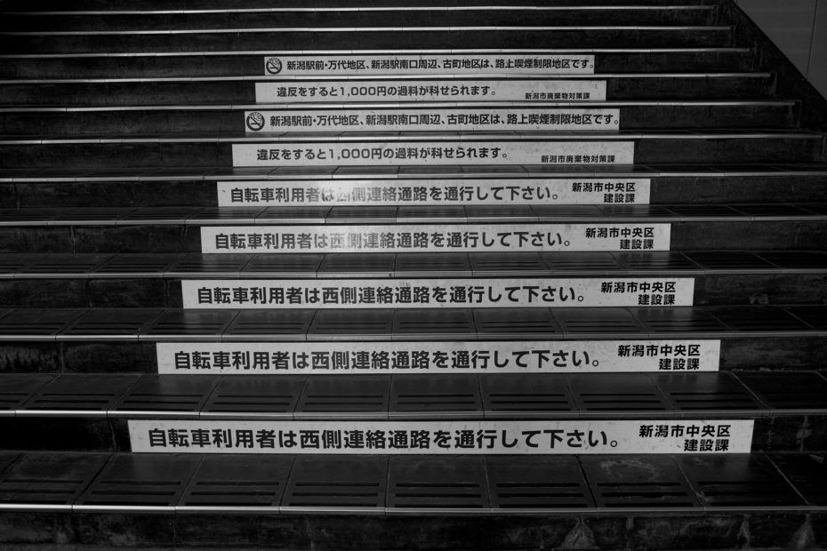 172/366 days photography season 7