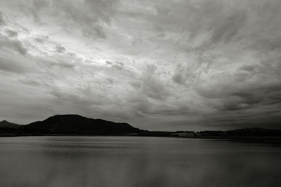 177/366 days photography season 7