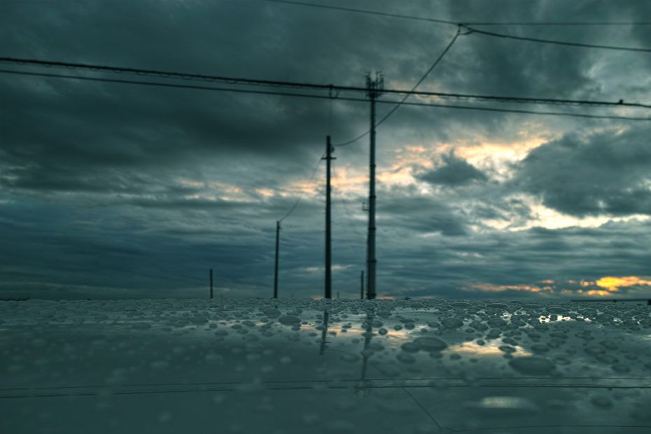 182/366 days photography season 7