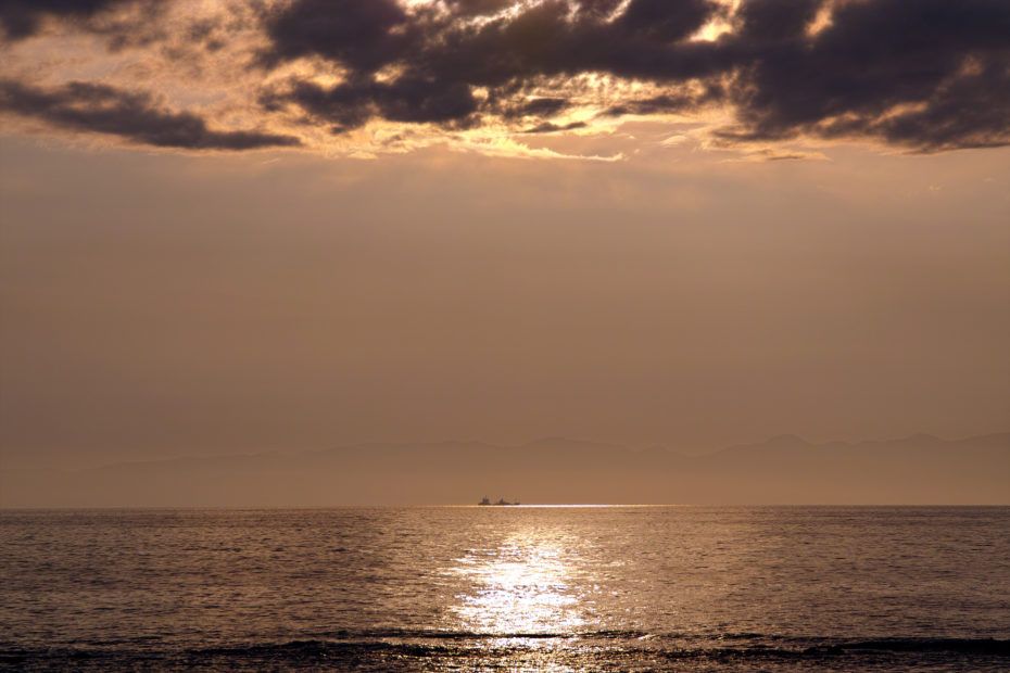176/366 days photography season 7