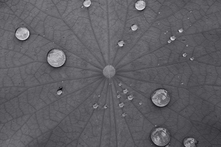 191/366 days photography season 7