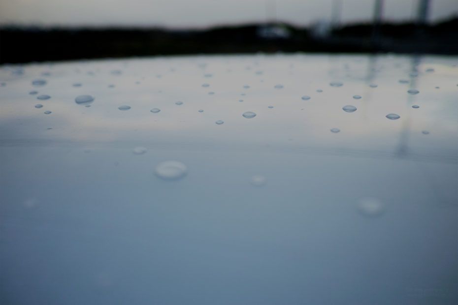 203/366 days photography season 7