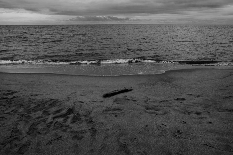 204/366 days photography season 7