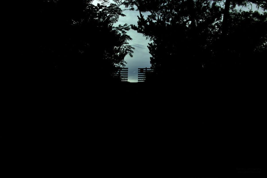 208/366 days photography season 7