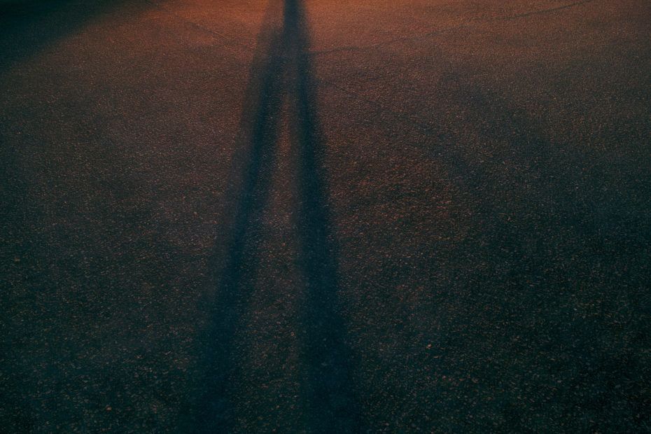 232/366 days photography season 7