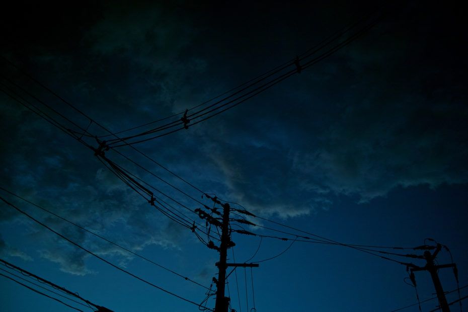 237/366 days photography season 7
