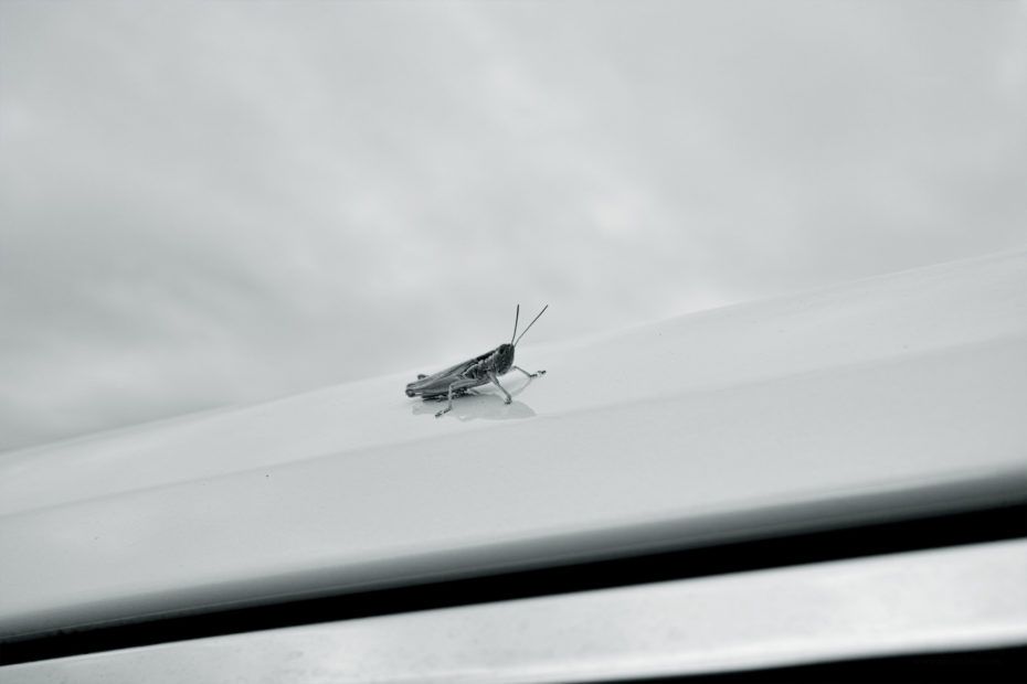 244/366 days photography season 7