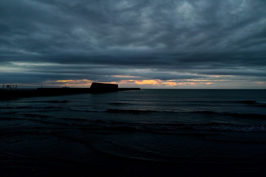 213/366 days photography season 7