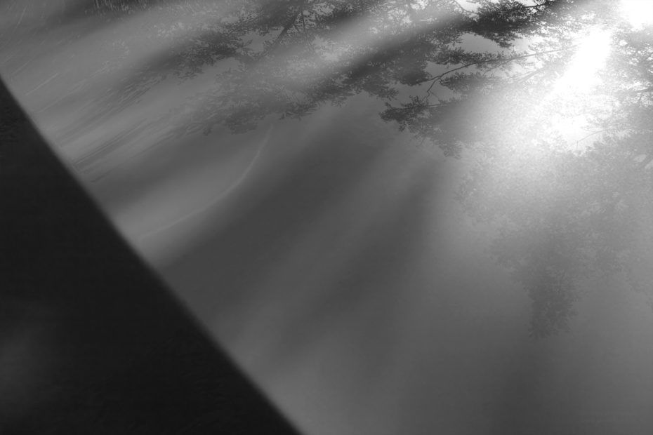 214/366 days photography season 7