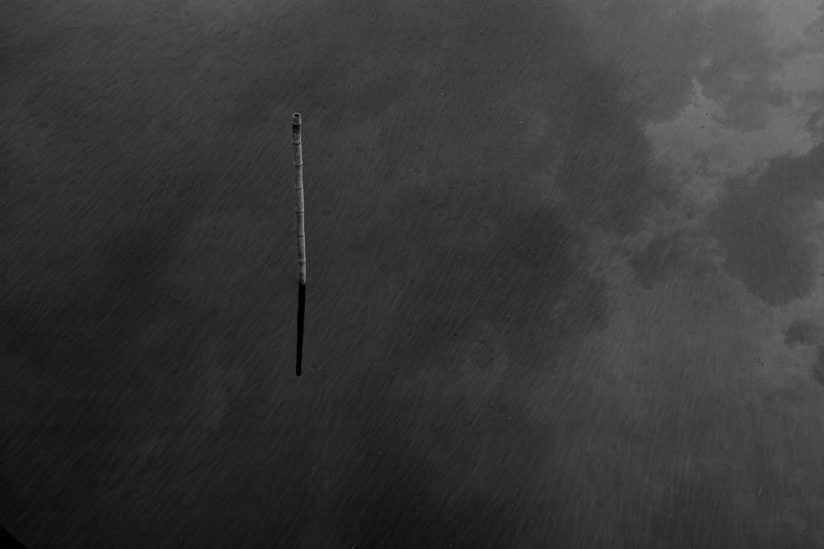219/366 days photography season 7