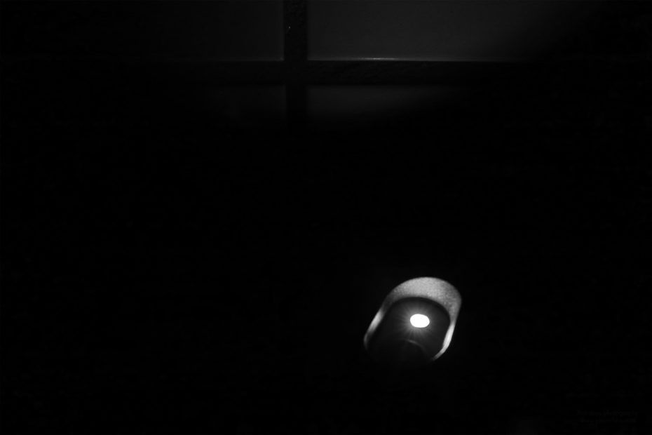 221/366 days photography season 7