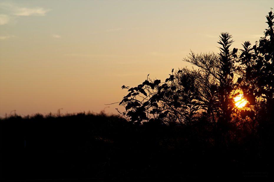 238/366 days photography season 7