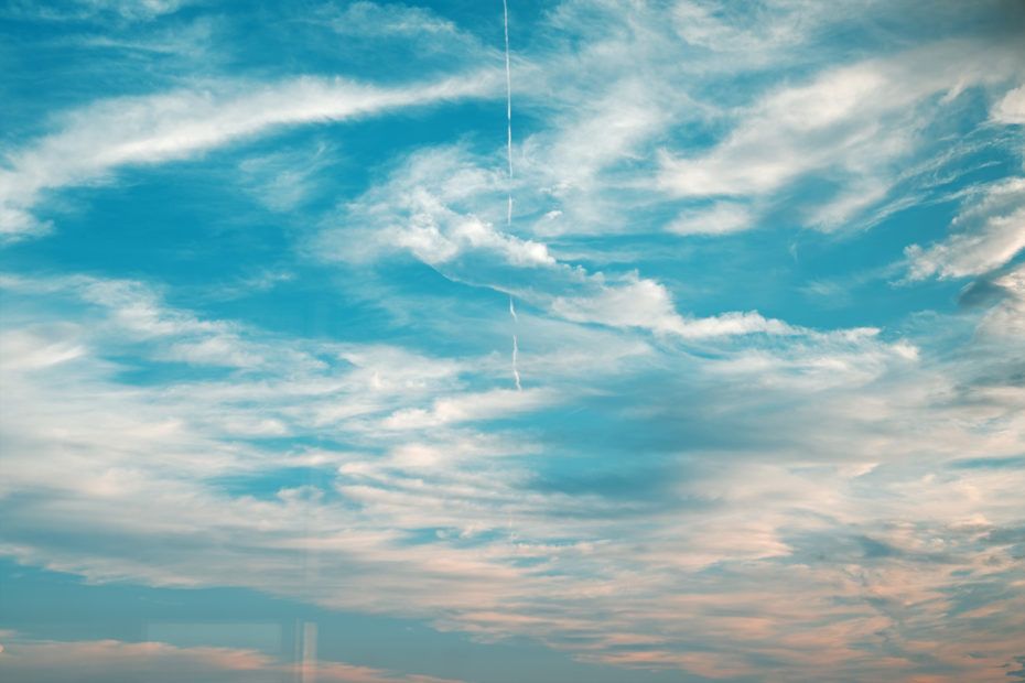 243/366 days photography season 7