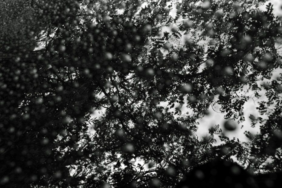 254/366 days photography season 7