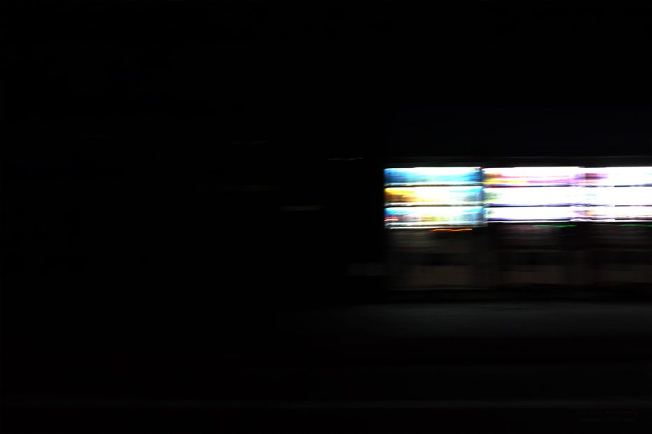 267/366 days photography season 7