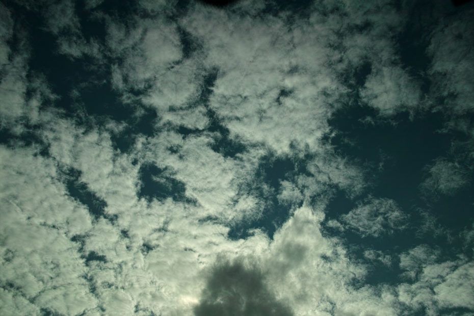 272/366 days photography season 7