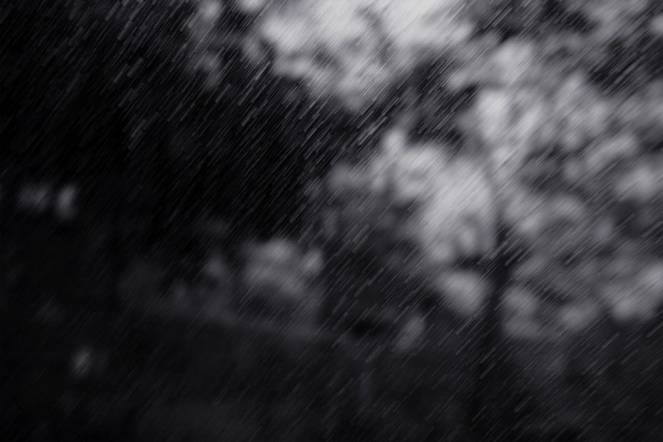 279/366 days photography season 7