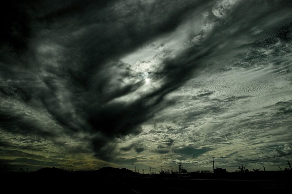 281/366 days photography season 7