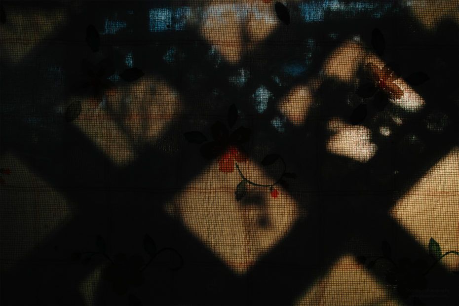 284/366 days photography season 7