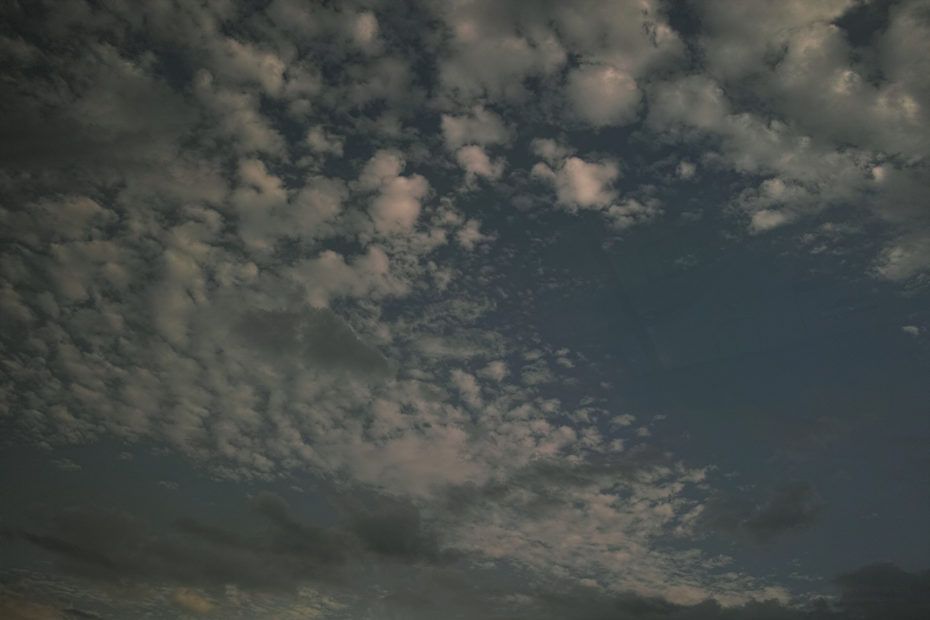 286/366 days photography season 7