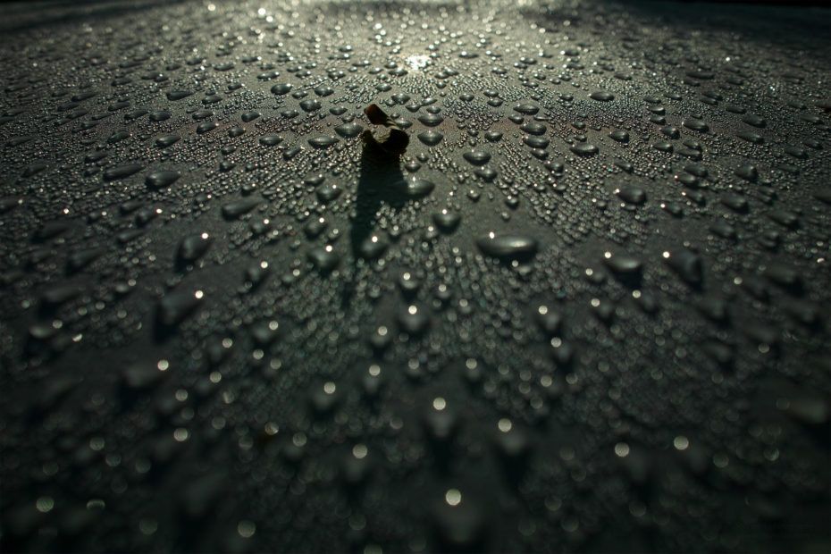 294/366 days photography season 7