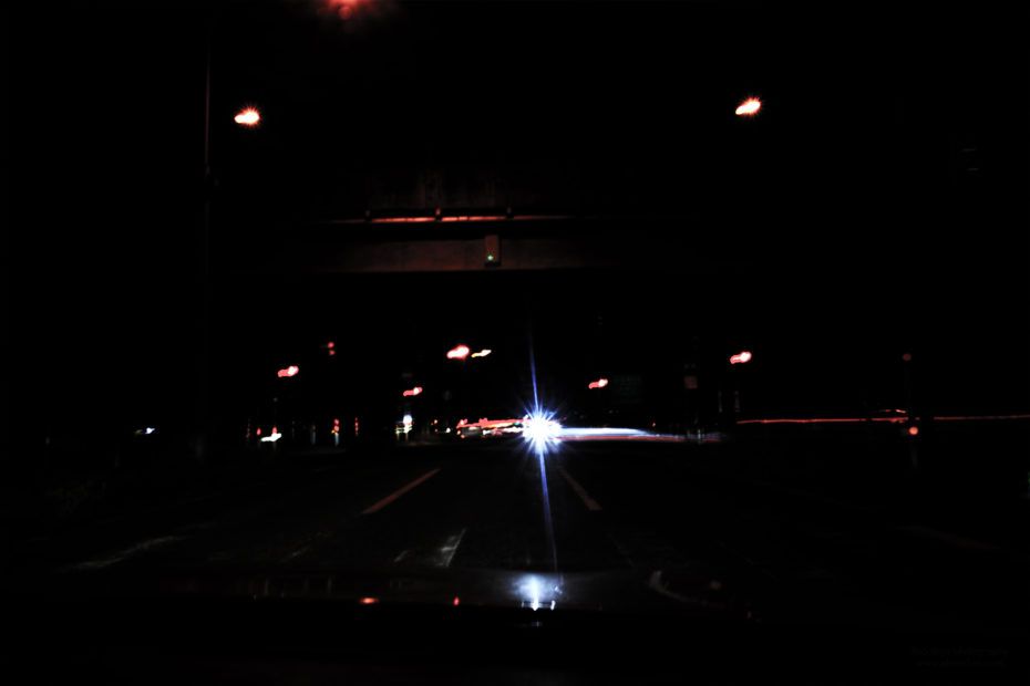 296/366 days photography season 7