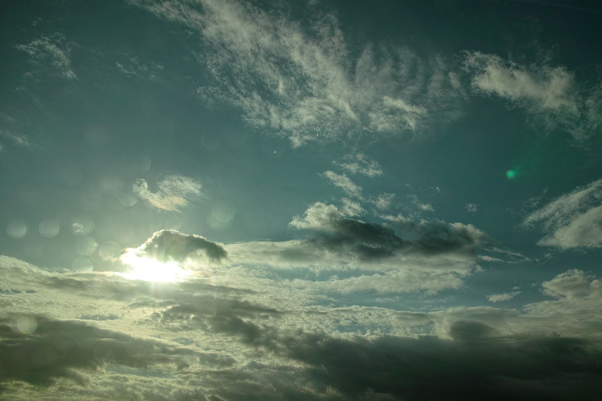 300/366 days photography season 7