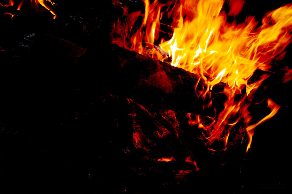 305/366 days photography season 7