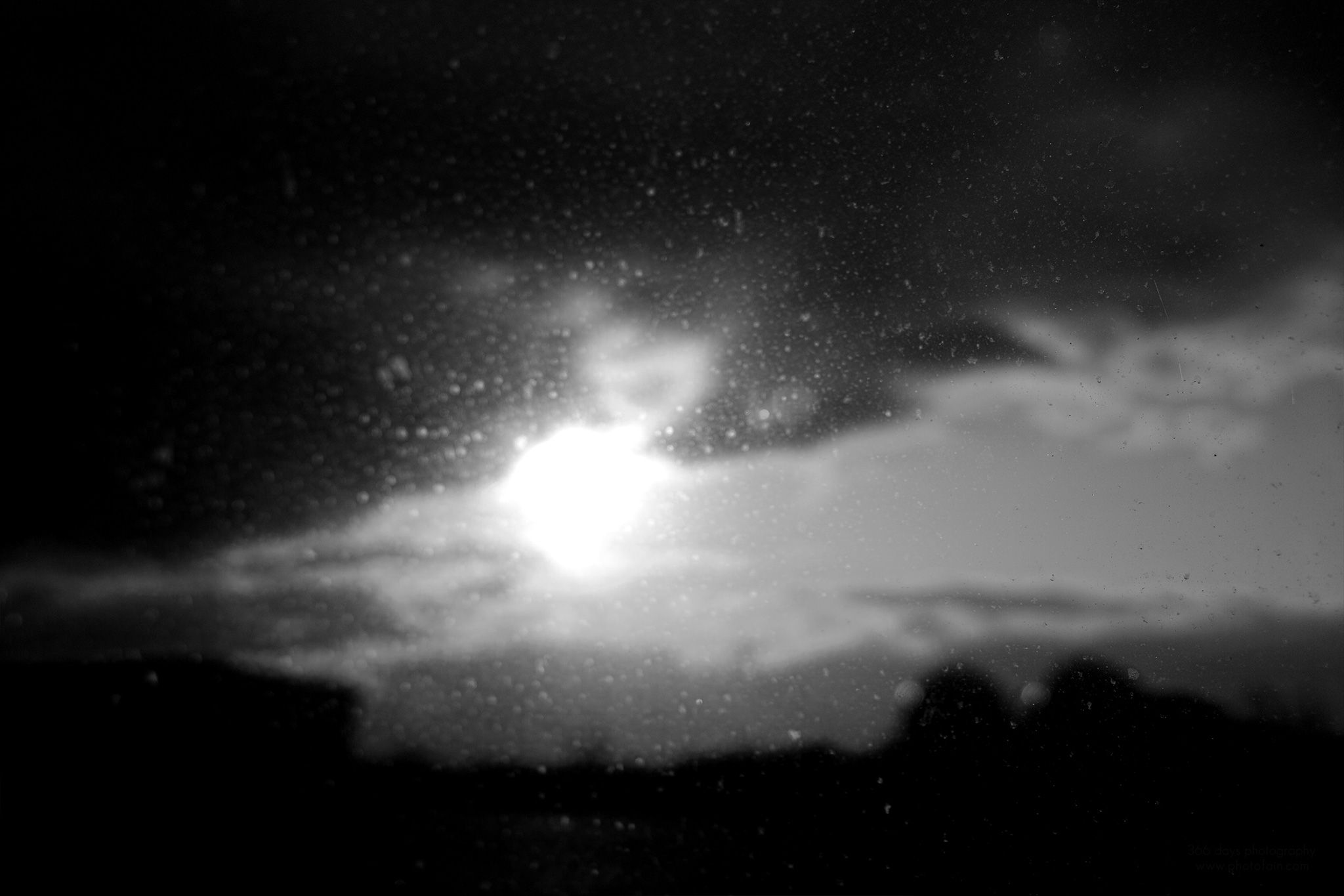 316/366 days photography season 7