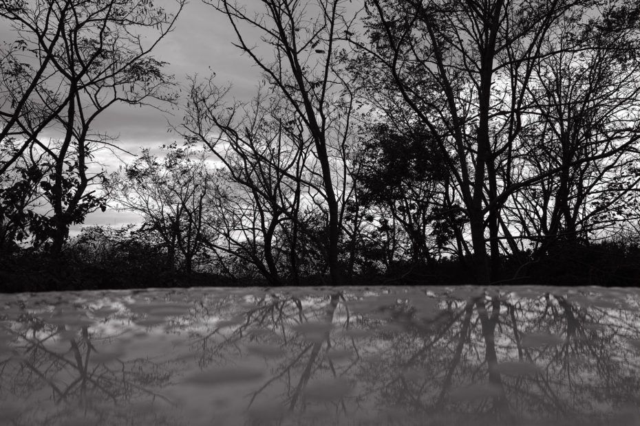 321/366 days photography season 7